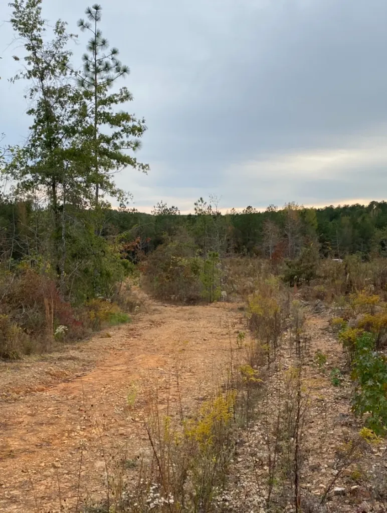 0 Highway 49 Chelsea AL 35043