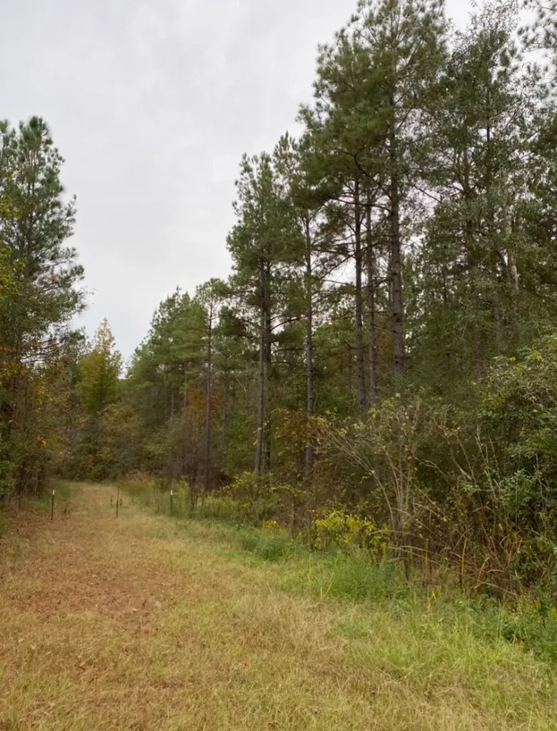 0 Highway 49 Chelsea AL 35043