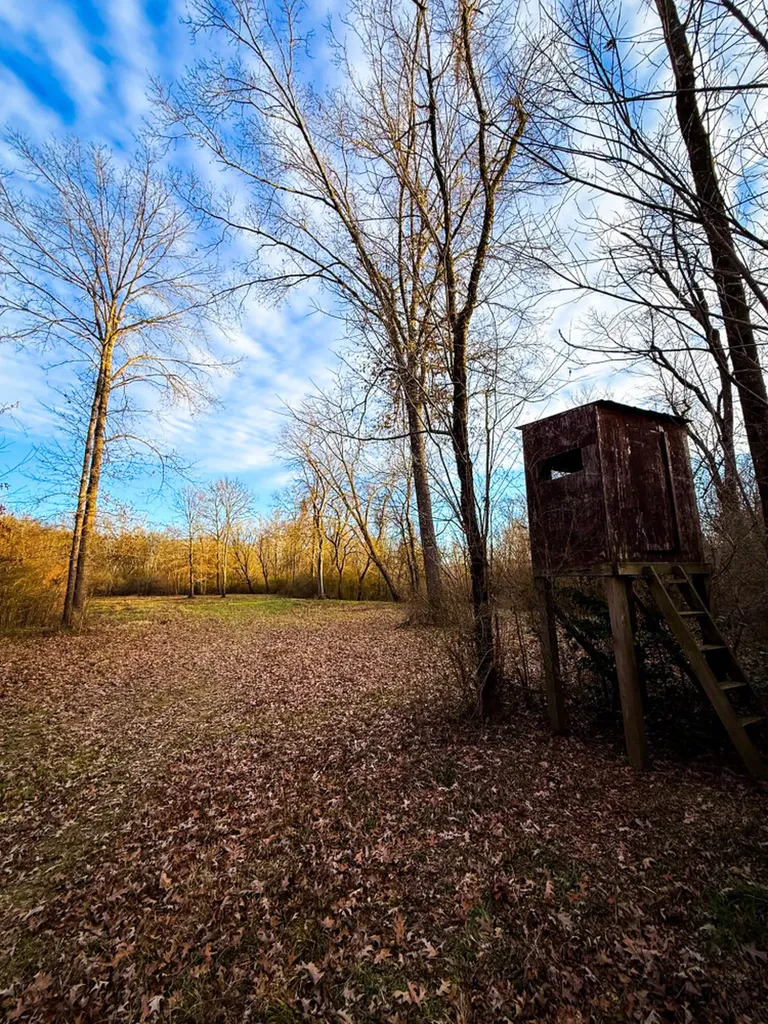 0 Riverview Beach Road Moundville AL 35474