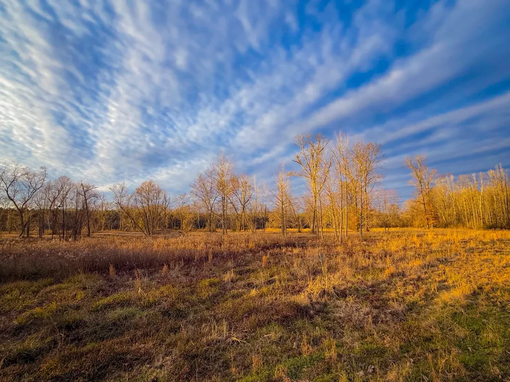 0 Riverview Beach Road Moundville AL 35474