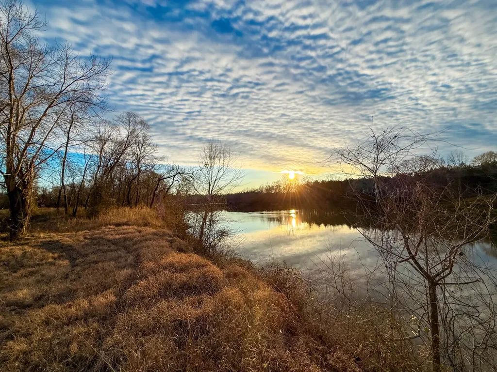 0 Riverview Beach Road Moundville AL 35474