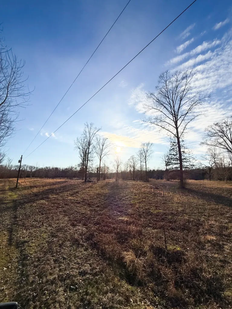 0 Riverview Beach Road Moundville AL 35474