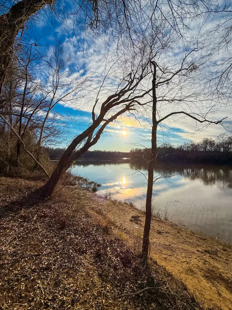 0 Riverview Beach Road Moundville AL 35474