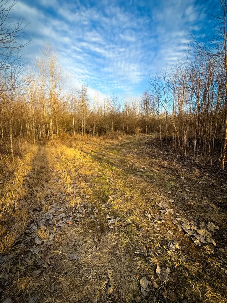 0 Riverview Beach Road Moundville AL 35474
