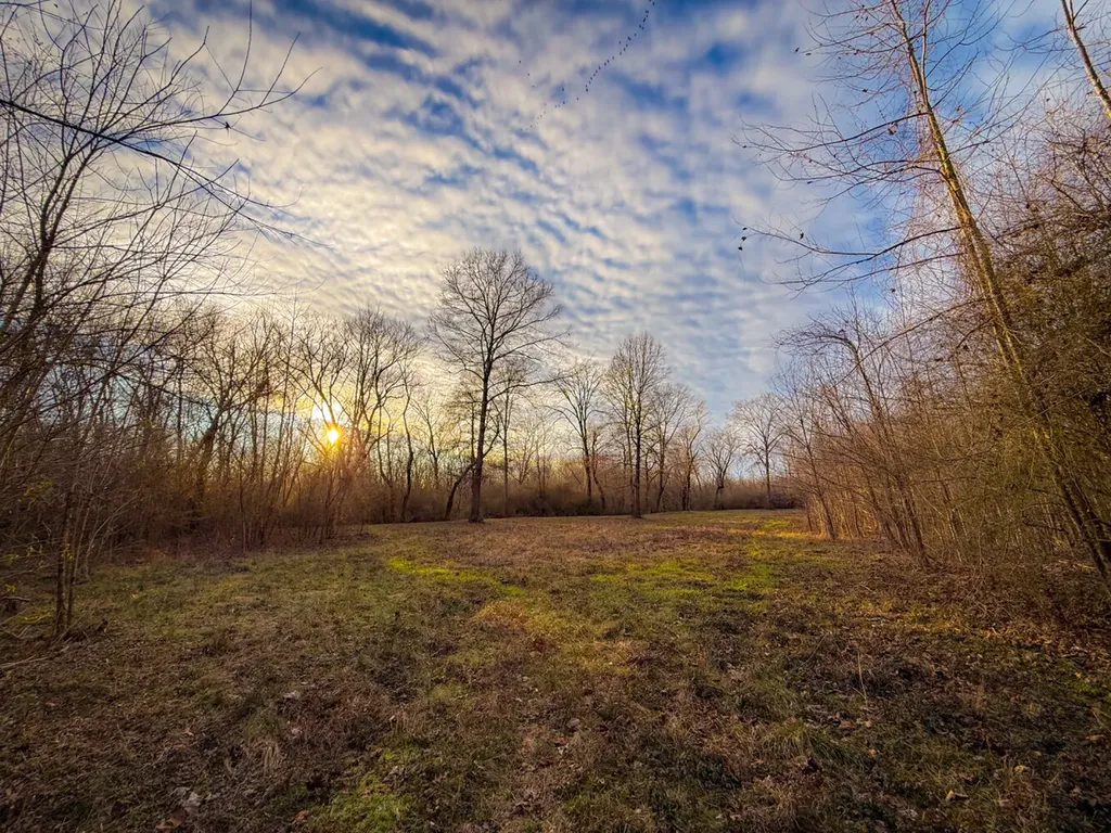 0 Riverview Beach Road Moundville AL 35474