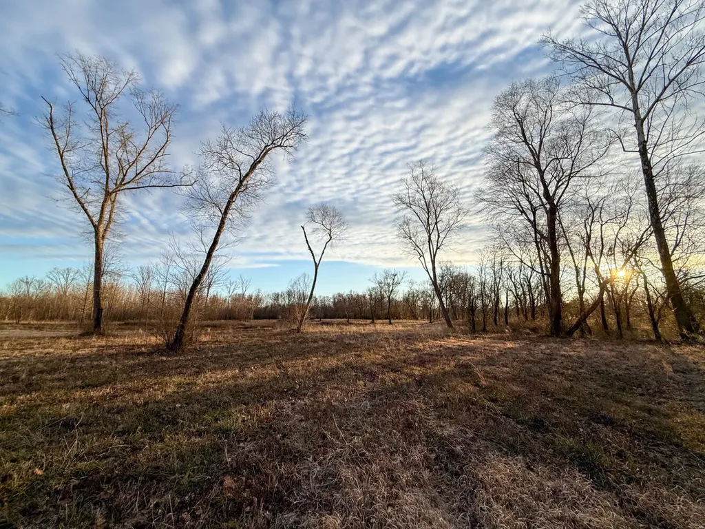 0 Riverview Beach Road Moundville AL 35474
