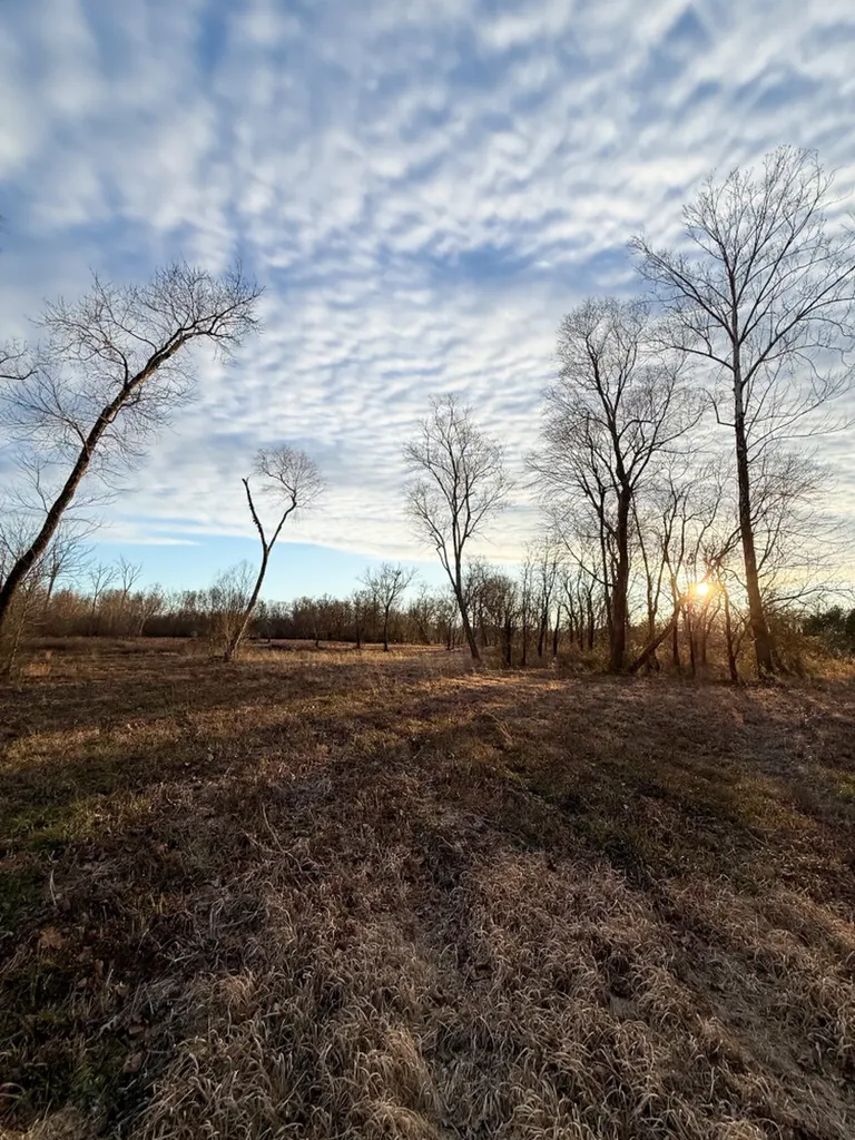 0 Riverview Beach Road Moundville AL 35474