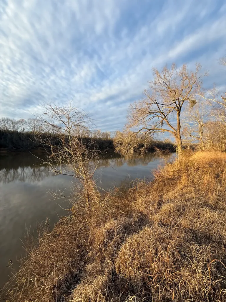 0 Riverview Beach Road Moundville AL 35474
