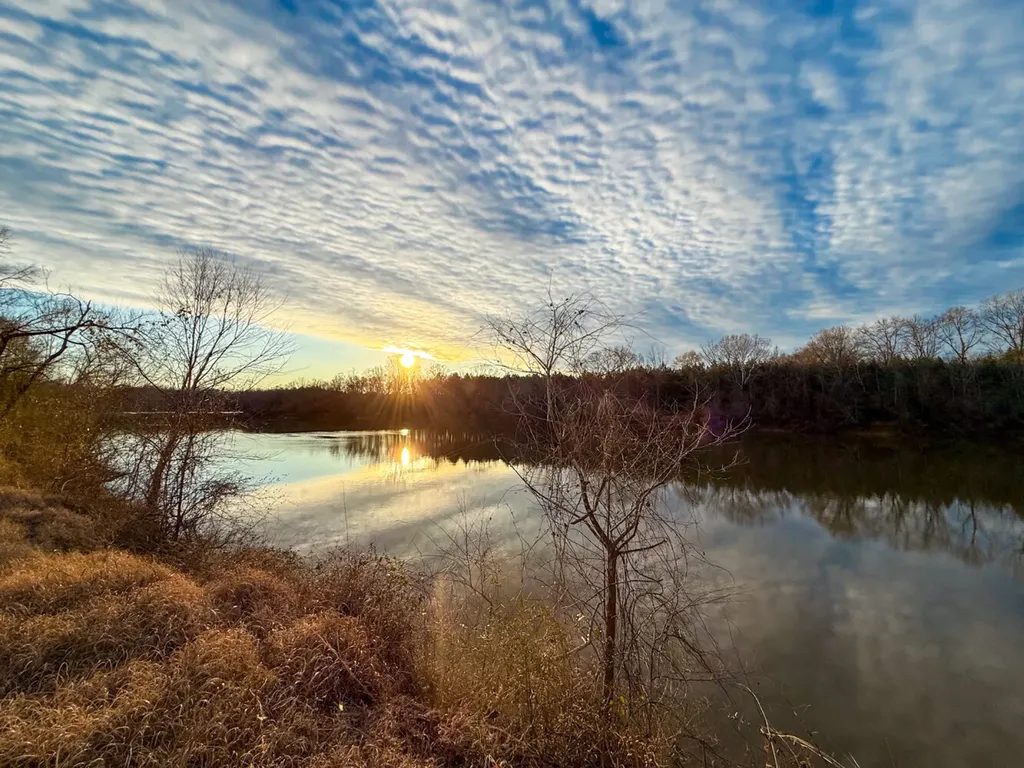 0 Riverview Beach Road Moundville AL 35474