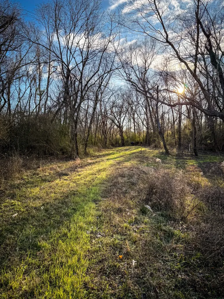 0 Riverview Beach Road Moundville AL 35474