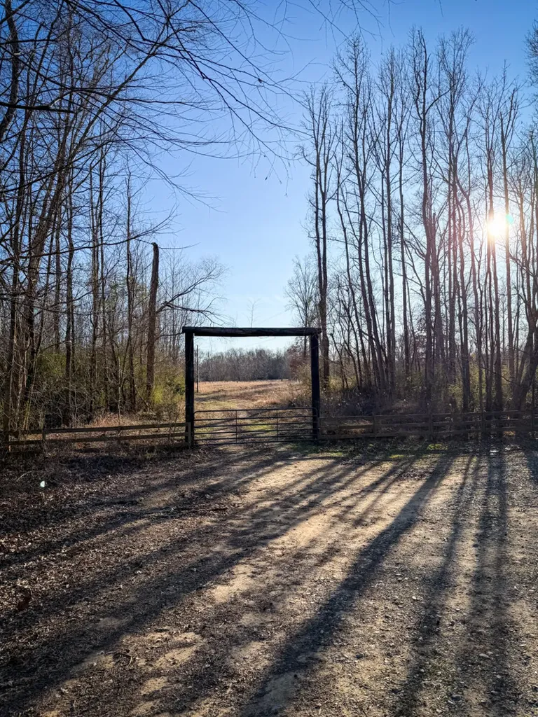 0 Riverview Beach Road Moundville AL 35474