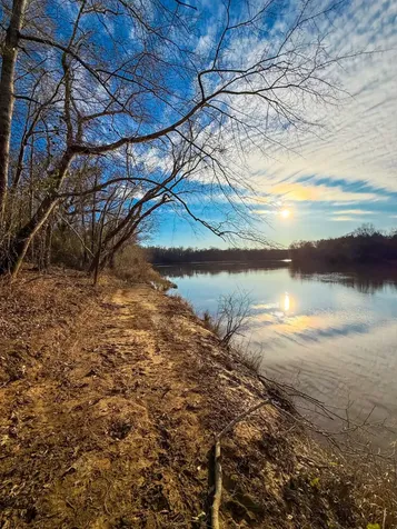 0 Riverview Beach Road Moundville AL 35474