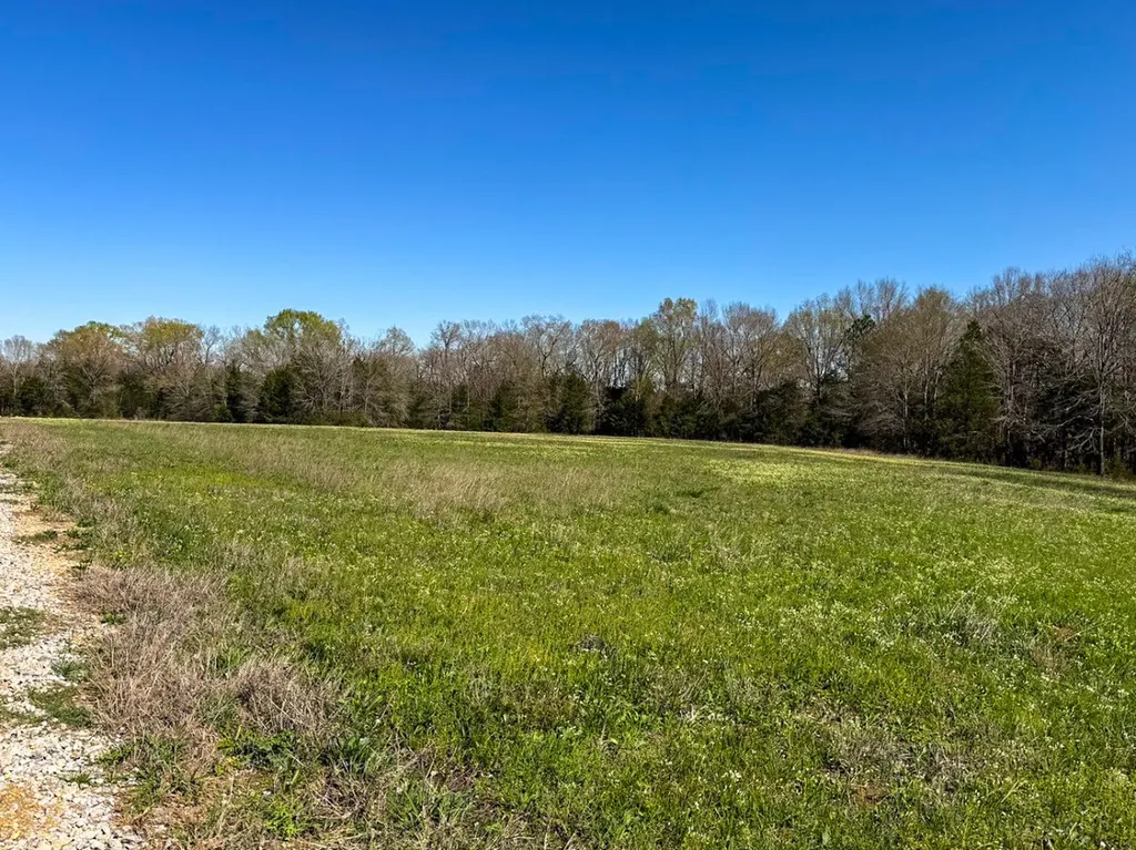 0 Hwy 80 E Gallion AL 36742