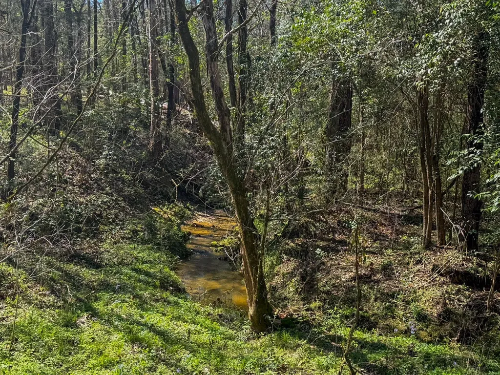 0 Hwy 80 E Gallion AL 36742