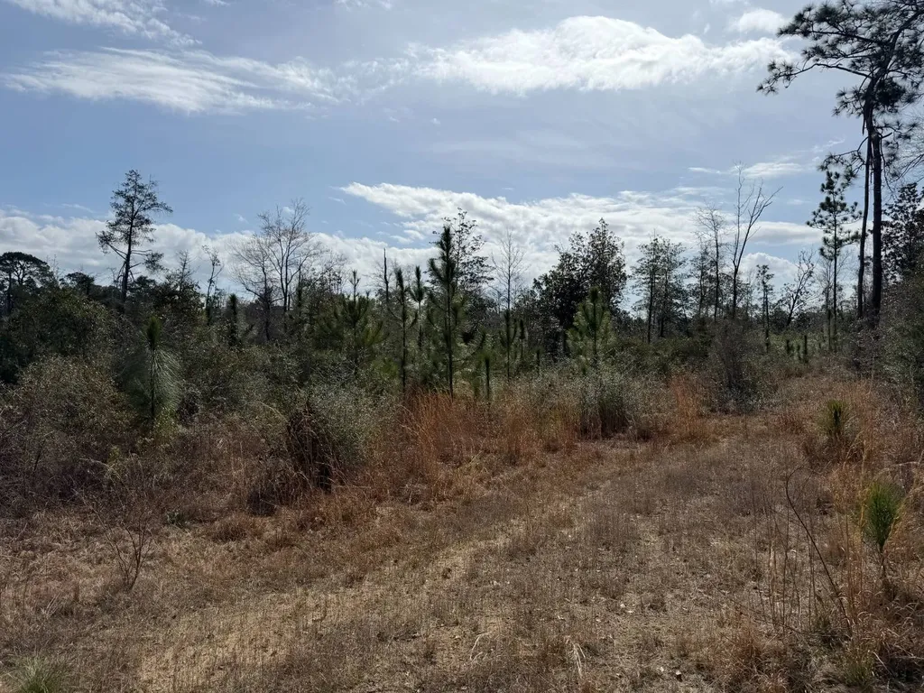 0 Comalander Lane Fairhope AL 36532