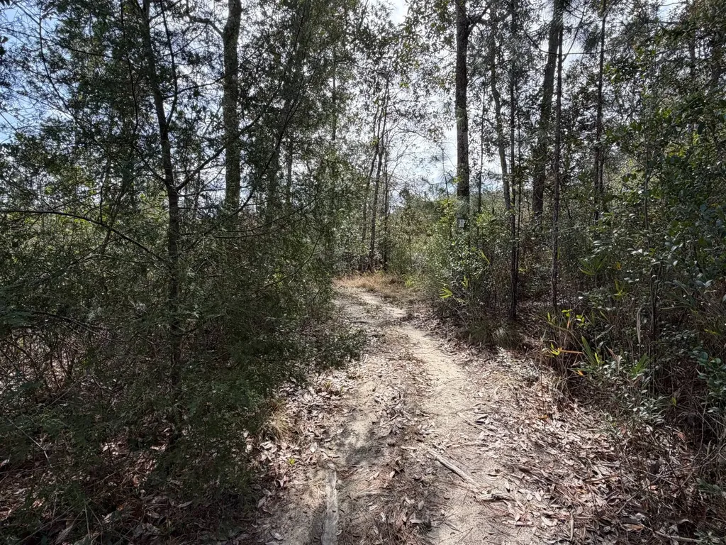0 Comalander Lane Fairhope AL 36532