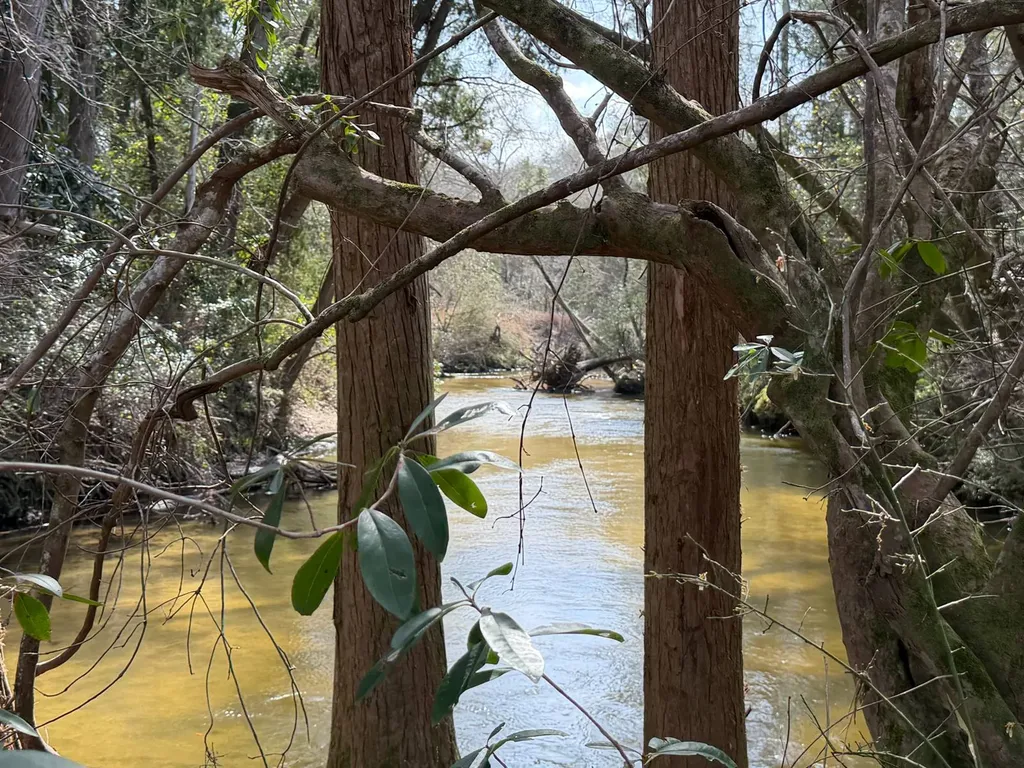0 Comalander Lane Fairhope AL 36532