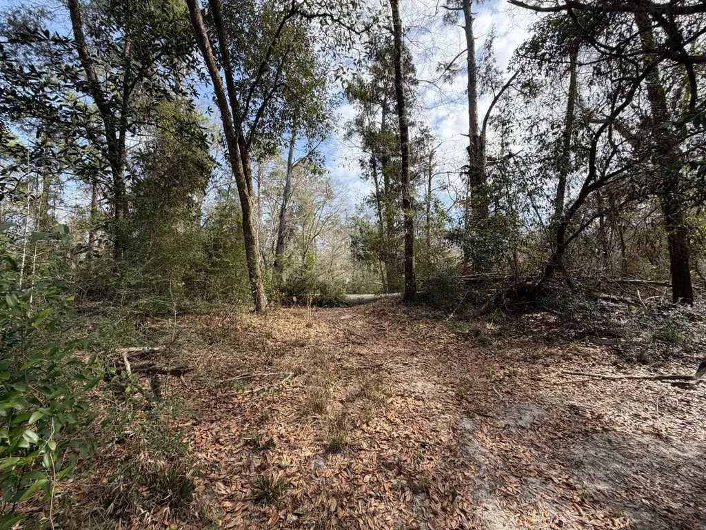 0 Comalander Lane Fairhope AL 36532