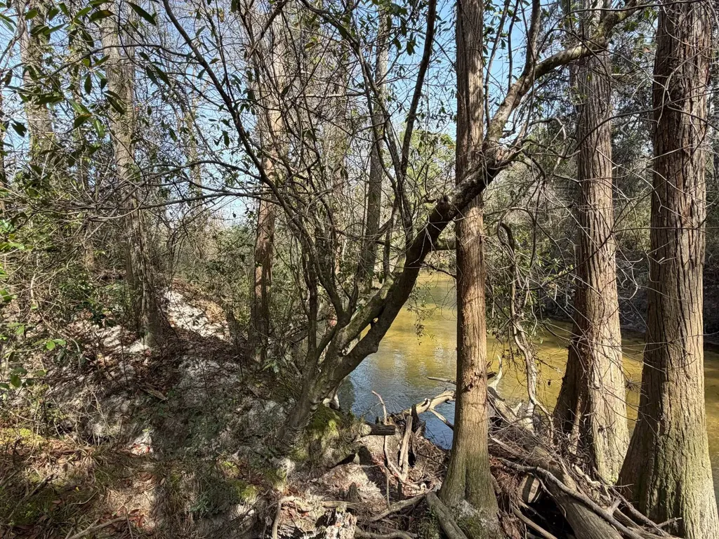 0 Comalander Lane Fairhope AL 36532