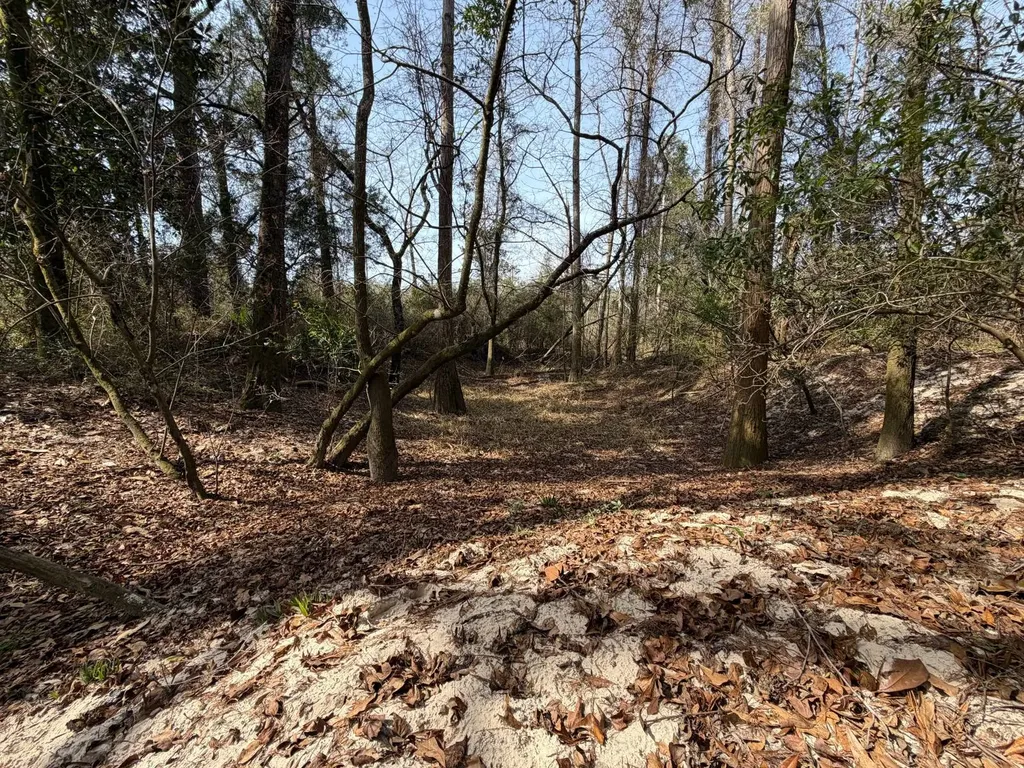 0 Comalander Lane Fairhope AL 36532