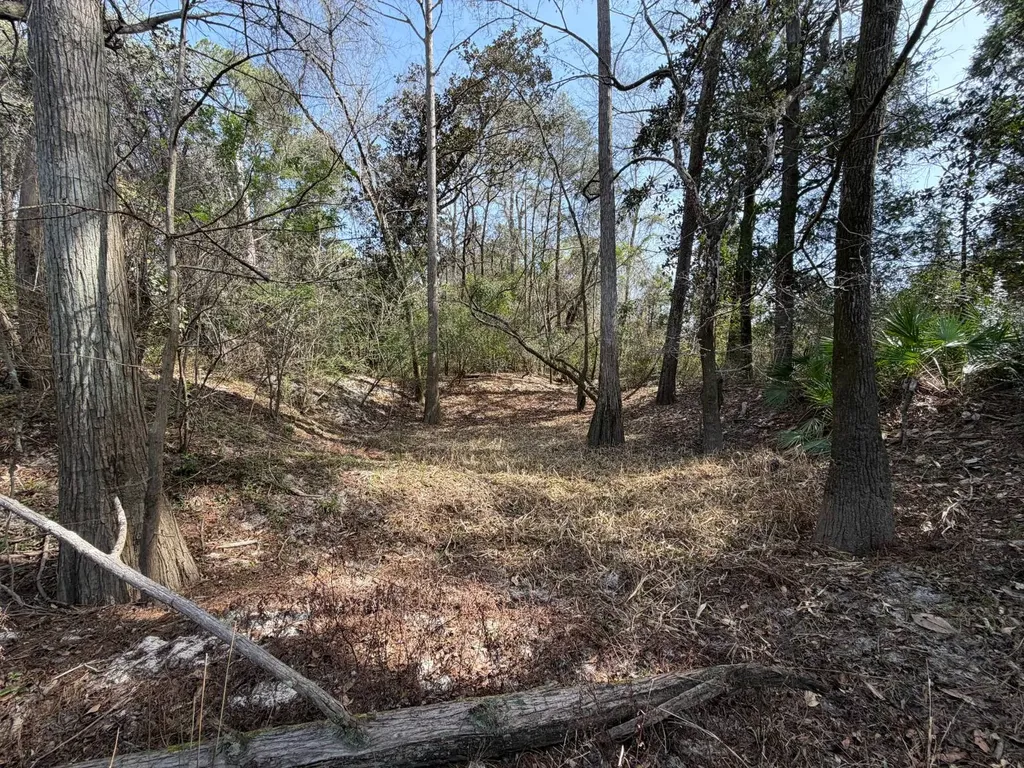 0 Comalander Lane Fairhope AL 36532