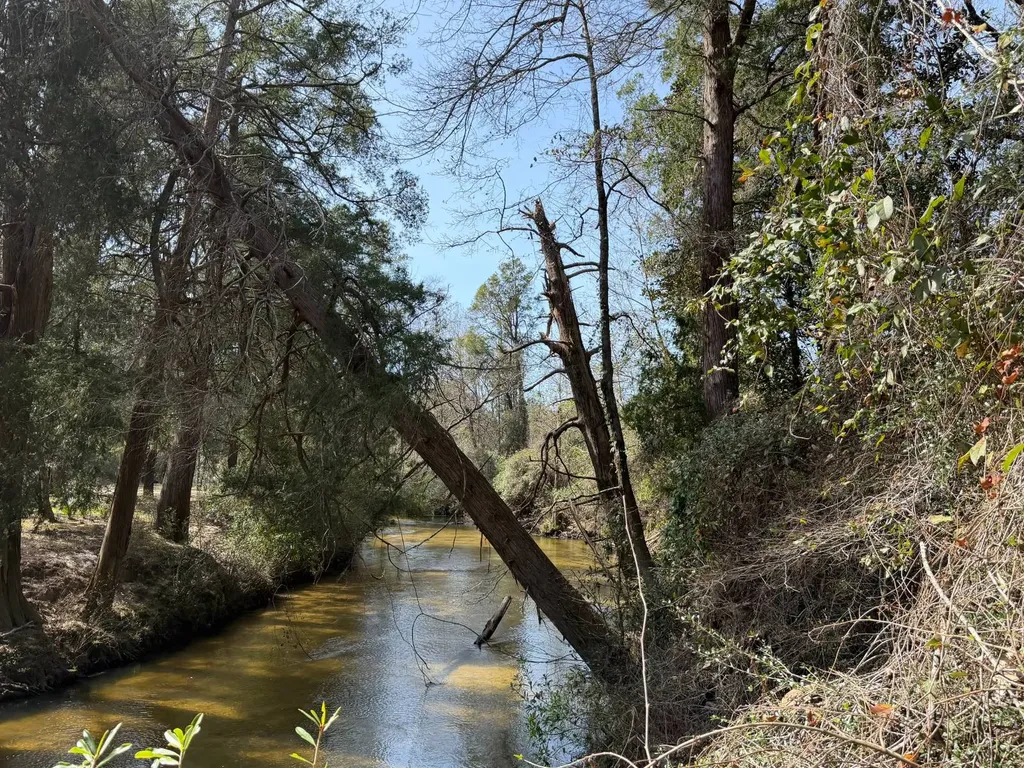 0 Comalander Lane Fairhope AL 36532