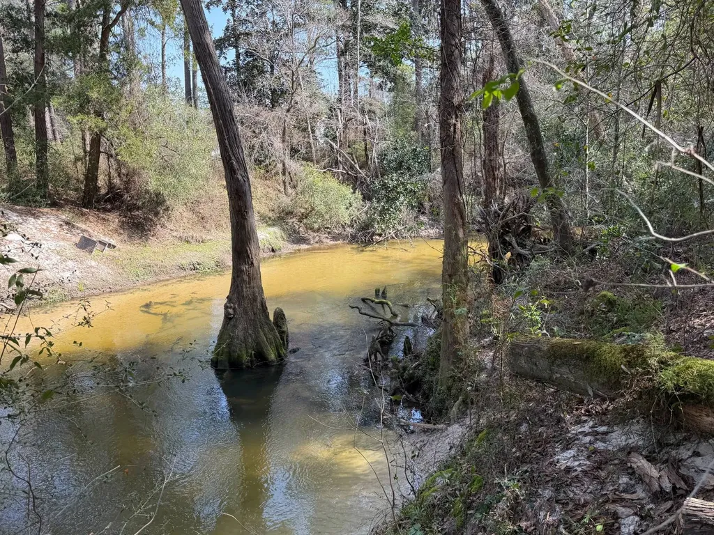 0 Comalander Lane Fairhope AL 36532