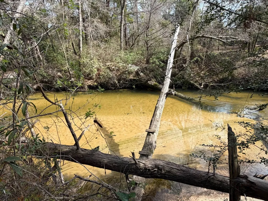 0 Comalander Lane Fairhope AL 36532