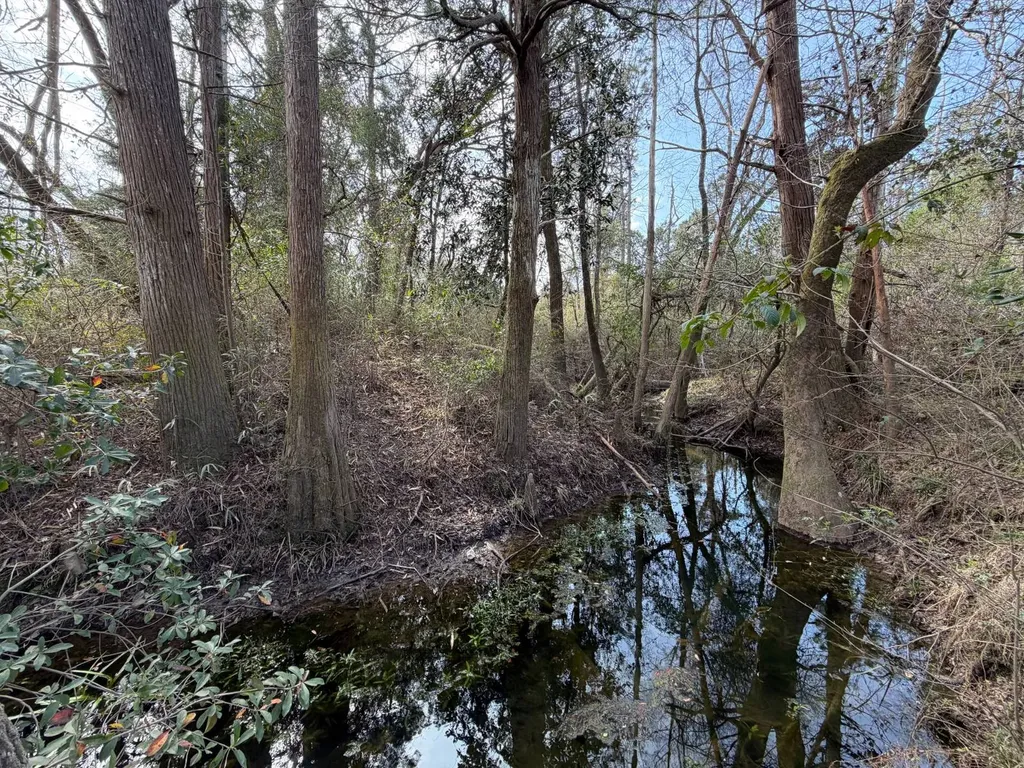 0 Comalander Lane Fairhope AL 36532
