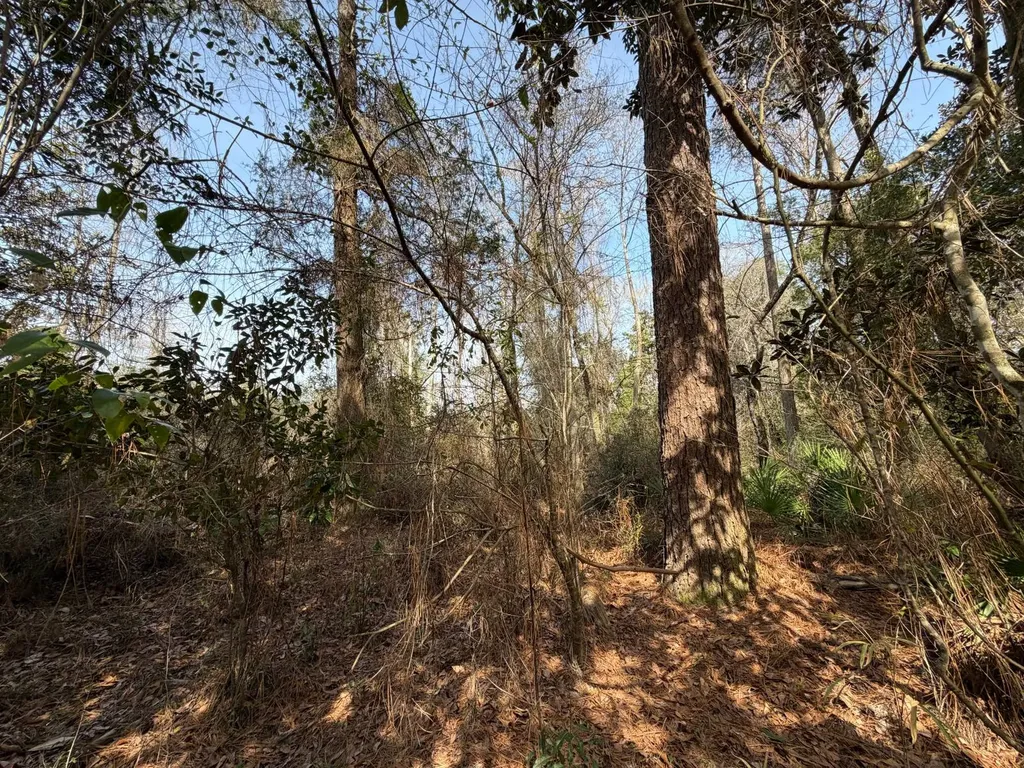 0 Comalander Lane Fairhope AL 36532