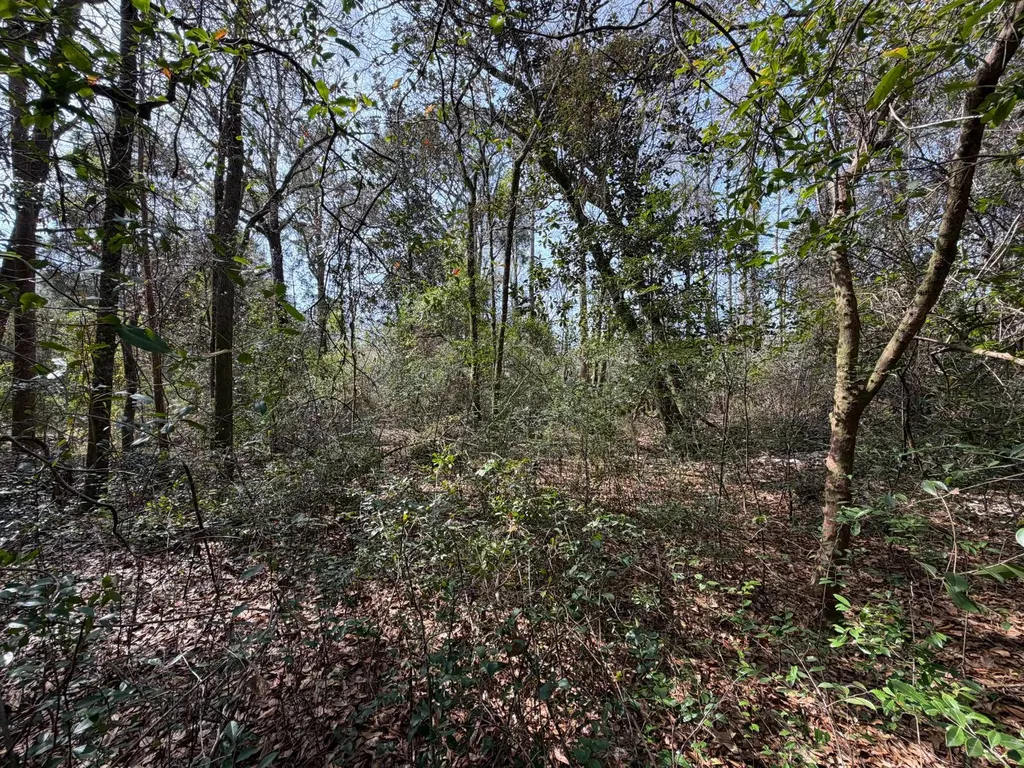 0 Comalander Lane Fairhope AL 36532