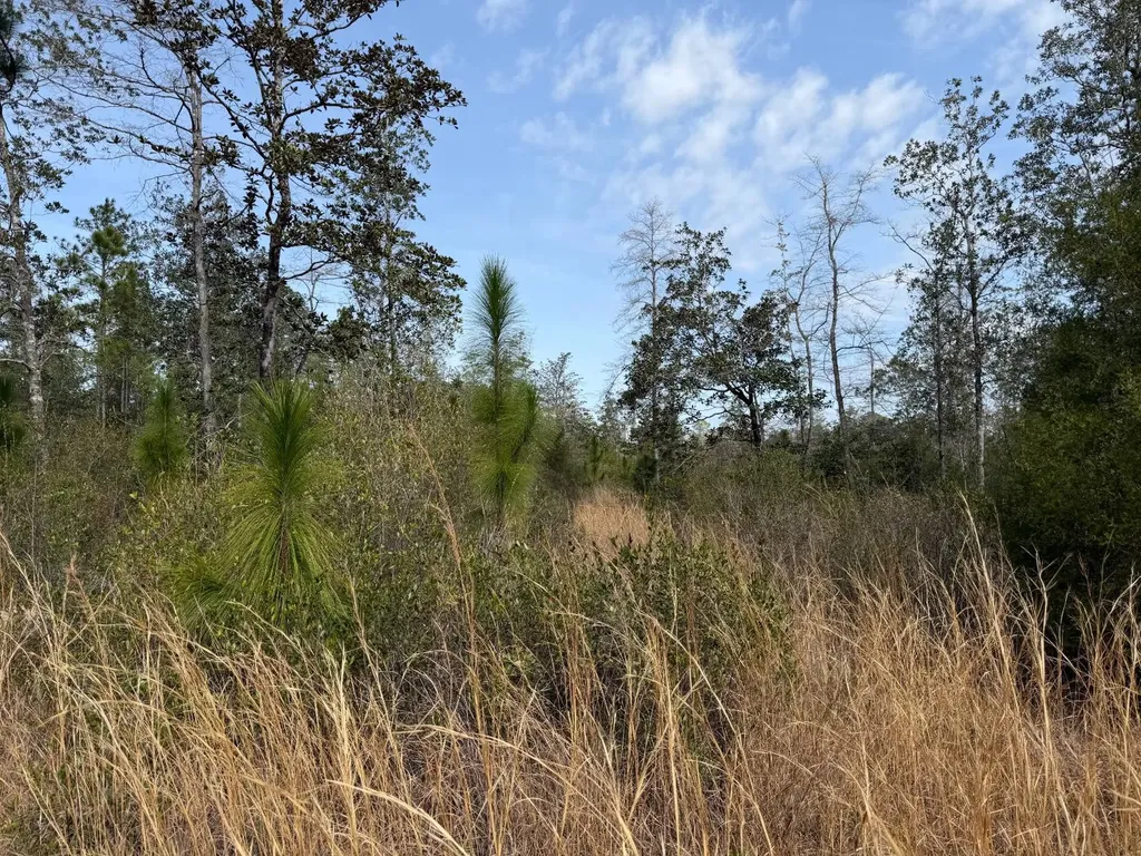 0 Comalander Lane Fairhope AL 36532