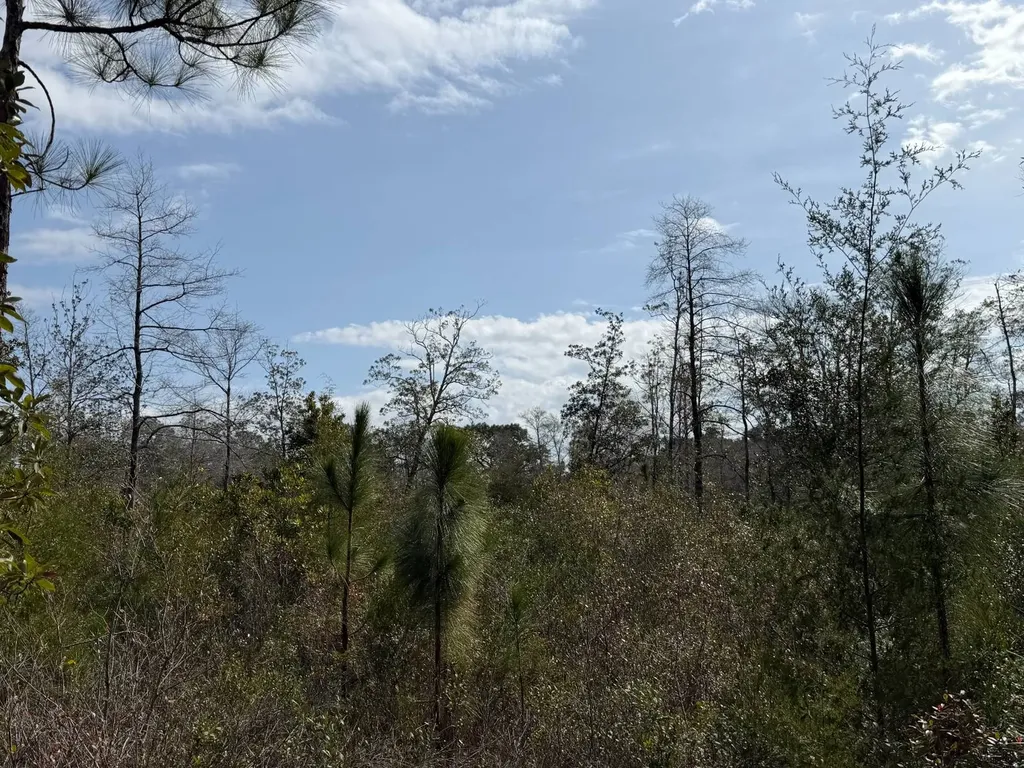 0 Comalander Lane Fairhope AL 36532