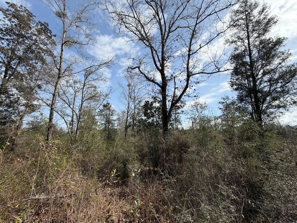 0 Comalander Lane Fairhope AL 36532