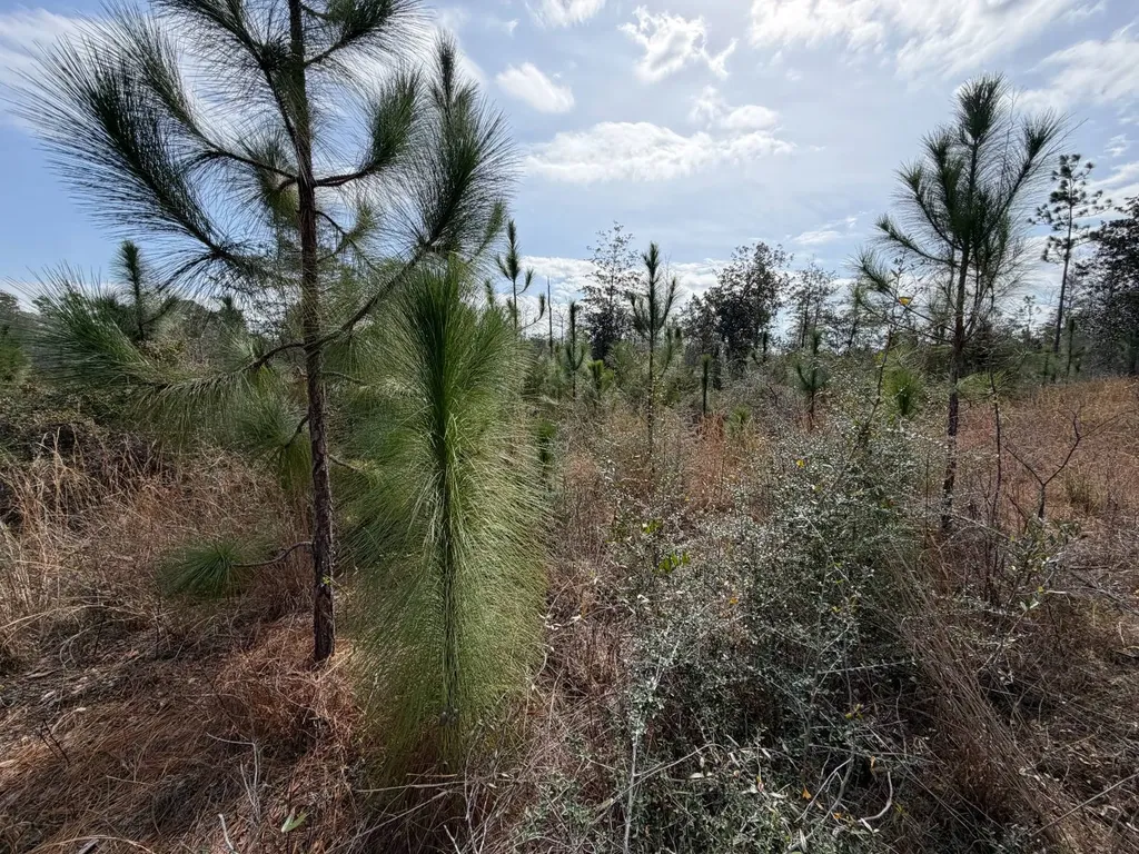 0 Comalander Lane Fairhope AL 36532