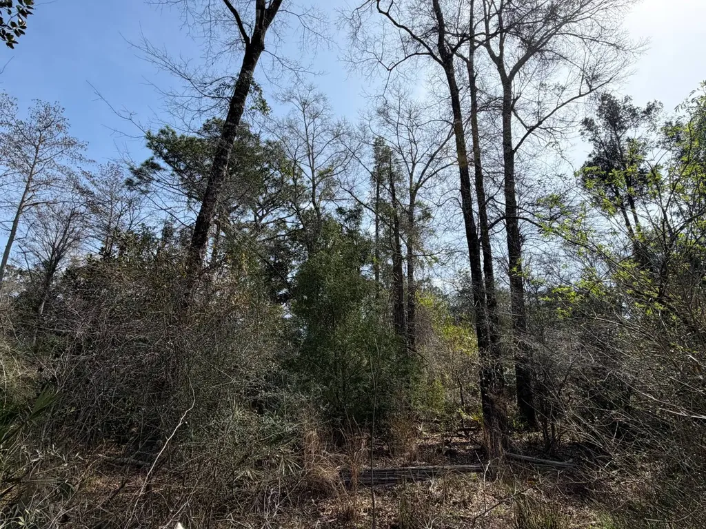 0 Comalander Lane Fairhope AL 36532