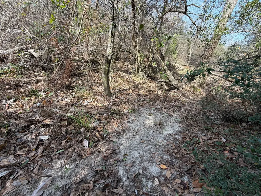 0 Comalander Lane Fairhope AL 36532
