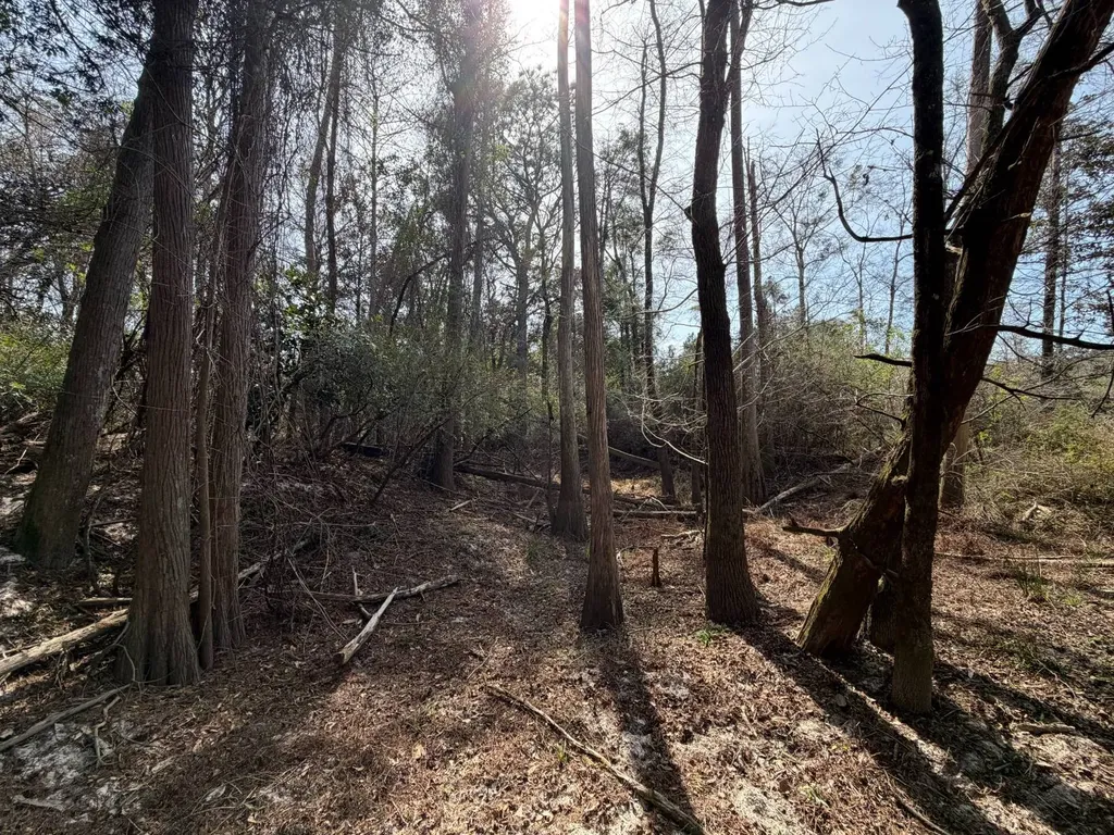 0 Comalander Lane Fairhope AL 36532