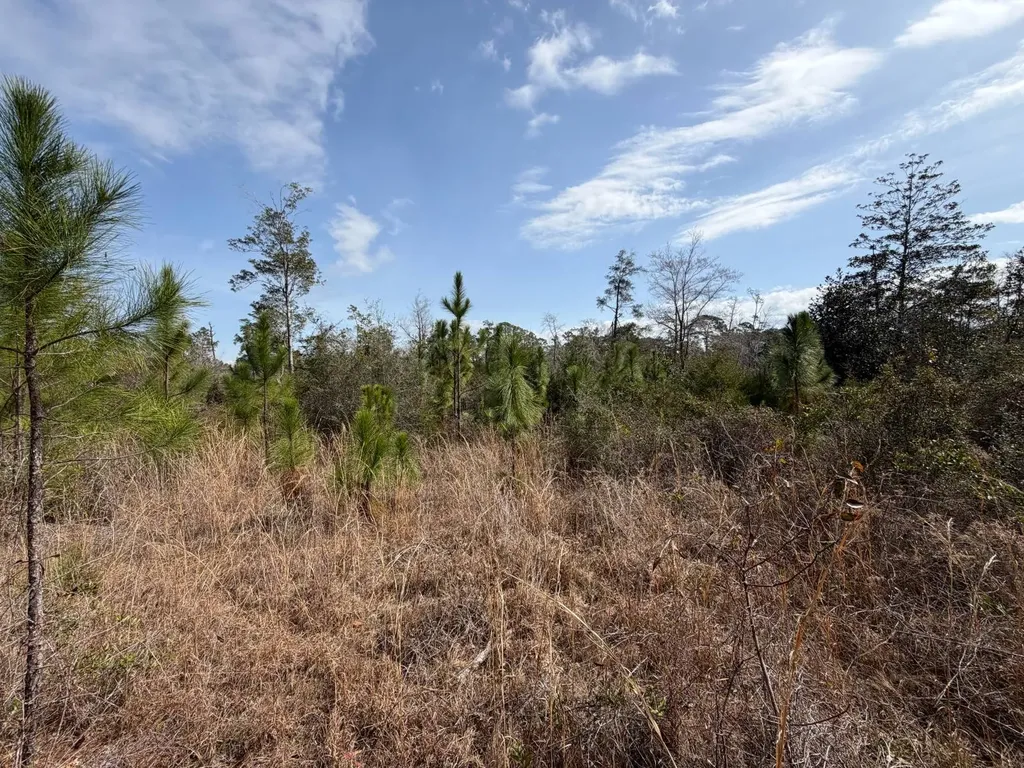 0 Comalander Lane Fairhope AL 36532