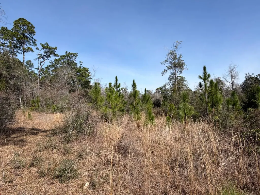 0 Comalander Lane Fairhope AL 36532
