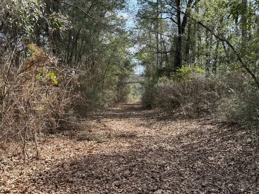 0 Comalander Lane Fairhope AL 36532