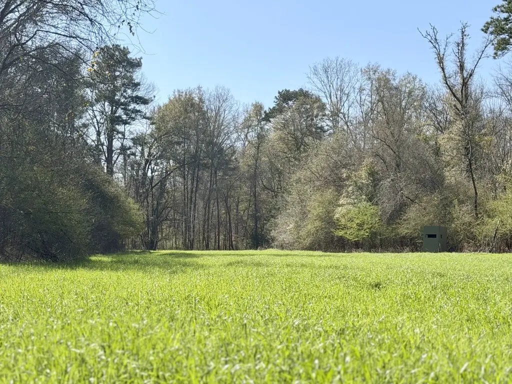 0 Dallas County Road 324 Minter AL 36761