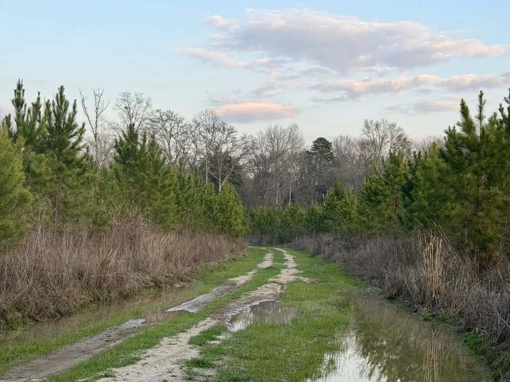 0 Dallas County Road 324 Minter AL 36761