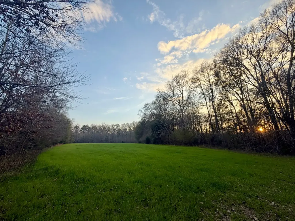 0 Dallas County Road 324 Minter AL 36761