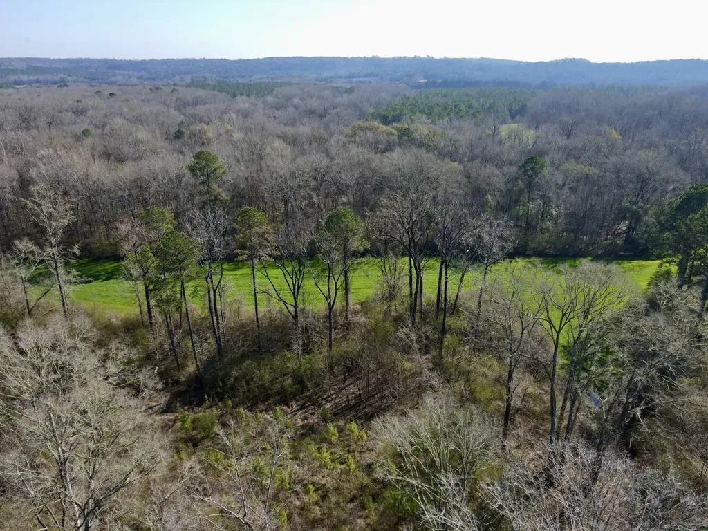 0 Dallas County Road 324 Minter AL 36761