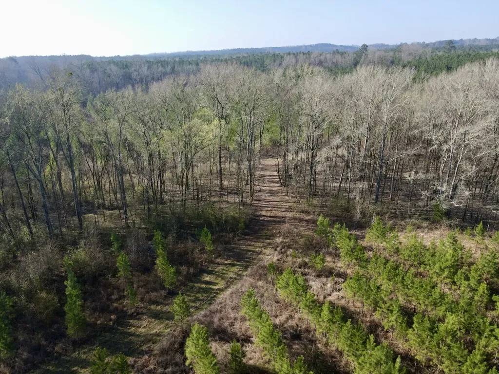 0 Dallas County Road 324 Minter AL 36761
