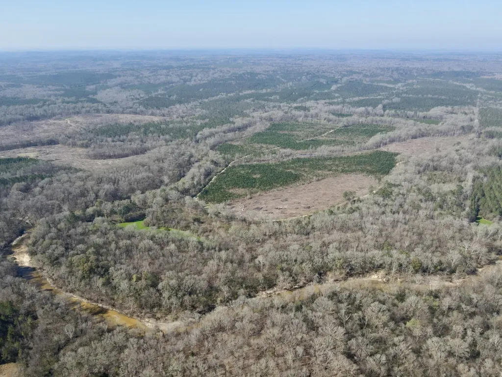 0 Dallas County Road 324 Minter AL 36761