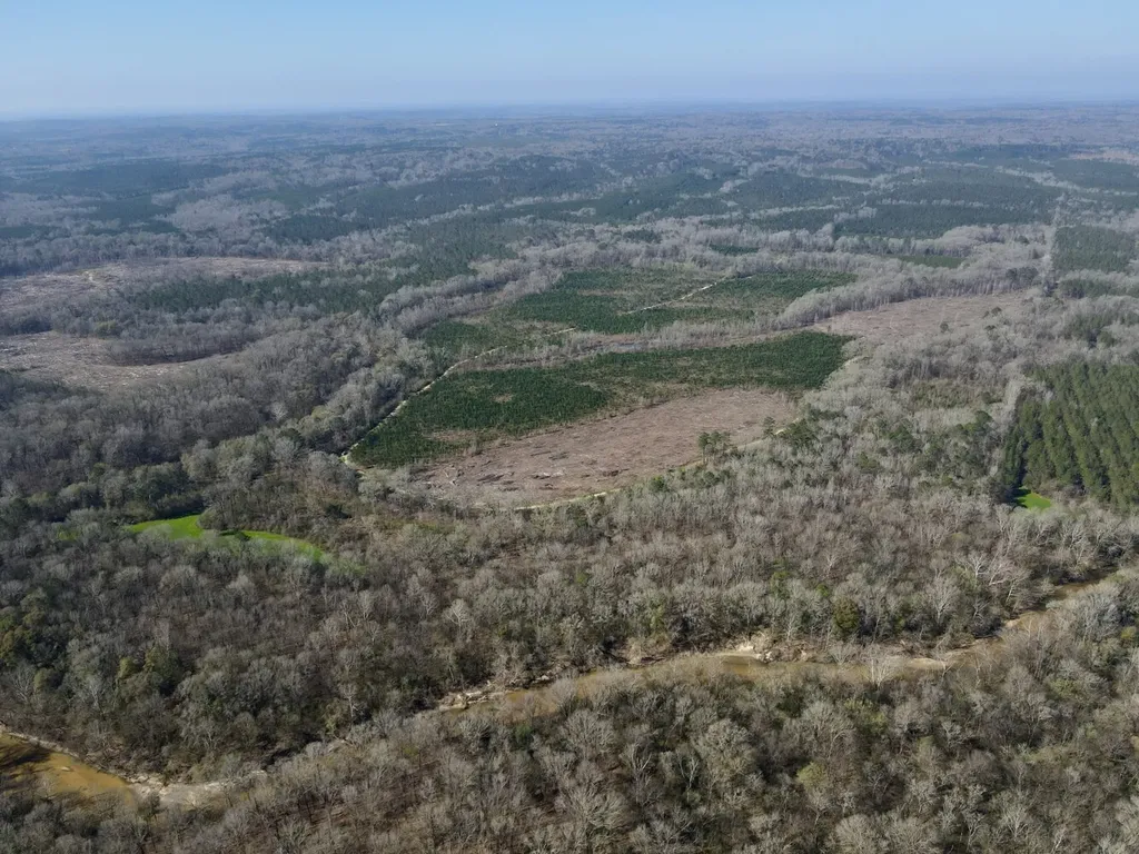 0 Dallas County Road 324 Minter AL 36761
