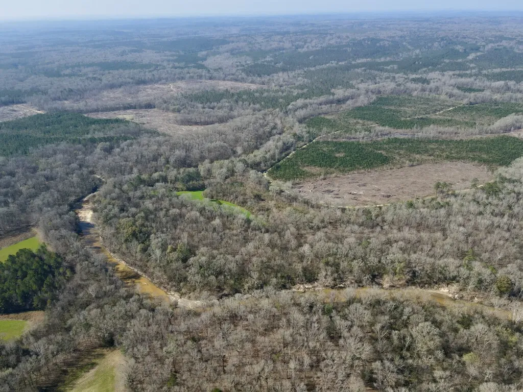 0 Dallas County Road 324 Minter AL 36761