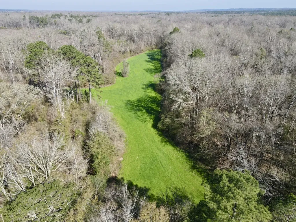 0 Dallas County Road 324 Minter AL 36761
